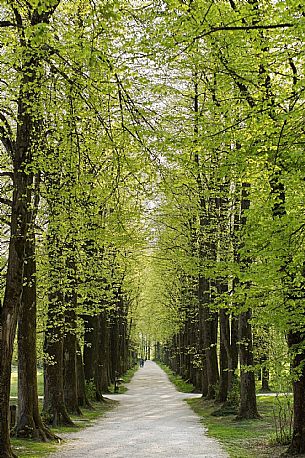 Brugnera(Villa Varda)
